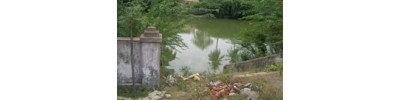 267. திருஅரசிலி